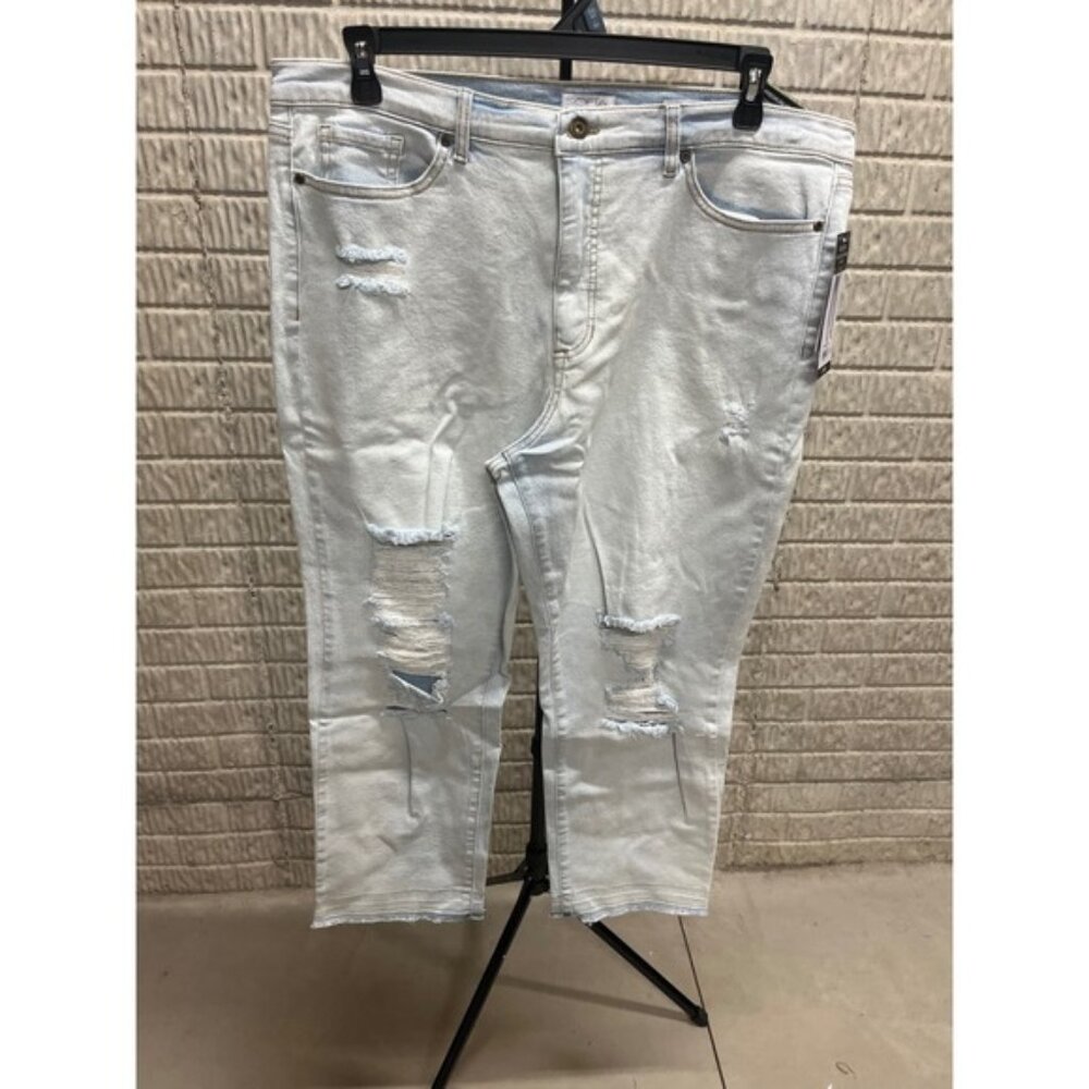 Sofia Jeans Beatriz Relaxed Boyfriend Mid-Rise Ankle Light Wash Distressed 18